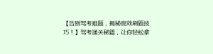 【告别驾考难题，揭秘高效刷题技巧！】驾考通关秘籍，让你轻松拿证！