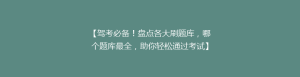 【驾考必备!盘点各大刷题库,哪个题库最全,助你轻松通过考试】
