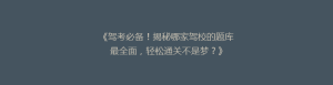 《驾考必备!揭秘哪家驾校的题库最全面,轻松通关不是梦?》