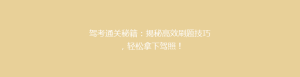 驾考通关秘籍:揭秘高效刷题技巧,轻松拿下驾照!