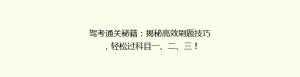 驾考通关秘籍:揭秘高效刷题技巧,轻松过科目一、二、三!