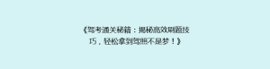 《驾考通关秘籍:揭秘高效刷题技巧,轻松拿到驾照不是梦!》