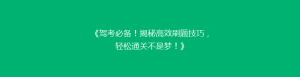 《驾考必备!揭秘高效刷题技巧,轻松通关不是梦!》