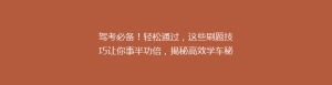 驾考必备!轻松通过,这些刷题技巧让你事半功倍,揭秘高效学车秘籍!