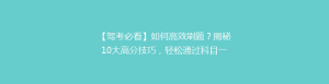 【驾考必看】如何高效刷题?揭秘10大高分技巧,轻松通过科目一!